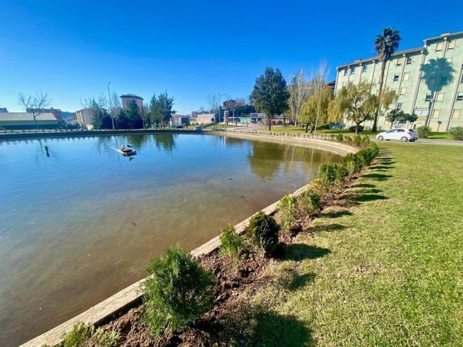 Apartamento Renovado No Centro Da Cidade - Casa4 Coimbra Buitenkant foto